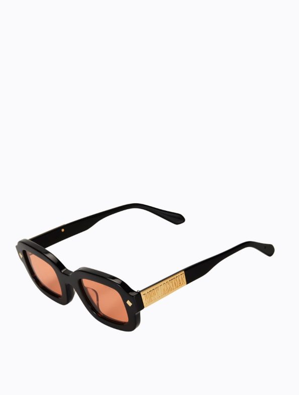 Raphael_BlackOrange_side