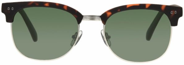 dempsey_tortoise_6449896da9c8db5bfc70af11c50a1241